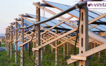 Agrivoltaico pugliese: la rivoluzione vinicola sostenibile sbarca al Vinitaly