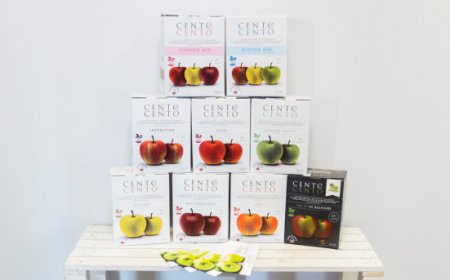 Tradizione in Bag-in-Box: Cento Per Cento reinventa il succo di mela