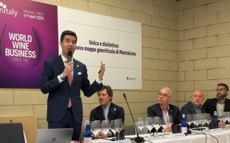 Consorzio Brunello: presentata a Vinitaly la mappa geoviticola di Montalcino