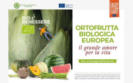 Ristorazione bio a Roma: nuova iniziativa unisce gusto, salute e sostenibilità
