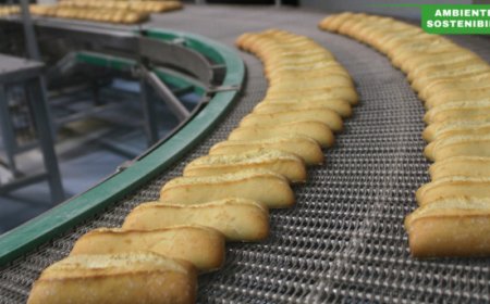 Giornata della Terra. L'impegno di Vandemoortele per la sostenibilità