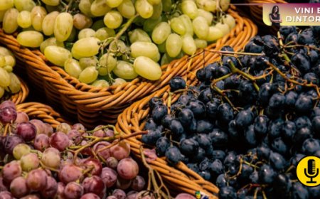 OIV: adattamento e cooperazione fondamentali per il futuro del vino