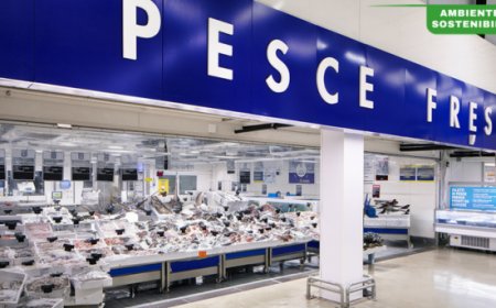 METRO Italia pubblica la prima Politica sul benessere dei pesci da allevamento in Italia