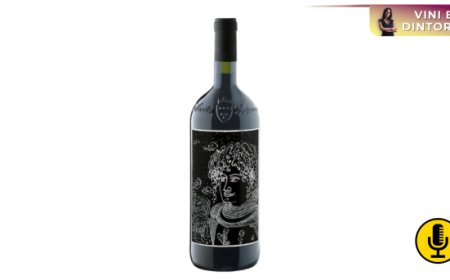 Capo di Stato: storia e identità del grande rosso veneto che incantò De Gaulle