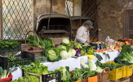 Slow Food Day al Castello di Padernello: un viaggio tra sapori e tradizione