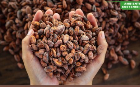 ICAM e Trusty per la tracciabilità del cacao