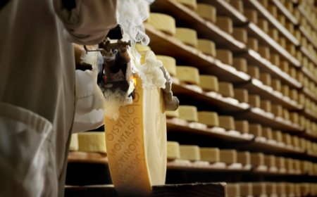 Il Consorzio Montasio DOP punta su ricerca scientifica e benefici nutrizionali