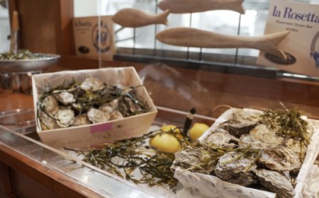 Il lato oscuro dell'overtourism: chiude 'La Rosetta' dopo 60 anni a Roma