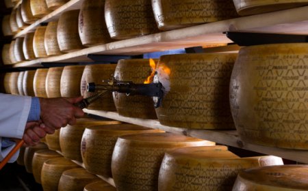 Grana Padano presenta i risultati del Progetto Moregrana