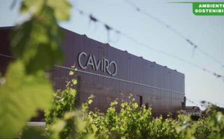 Caviro, economia circolare da record: 80mila tonnellate di CO2 risparmiate