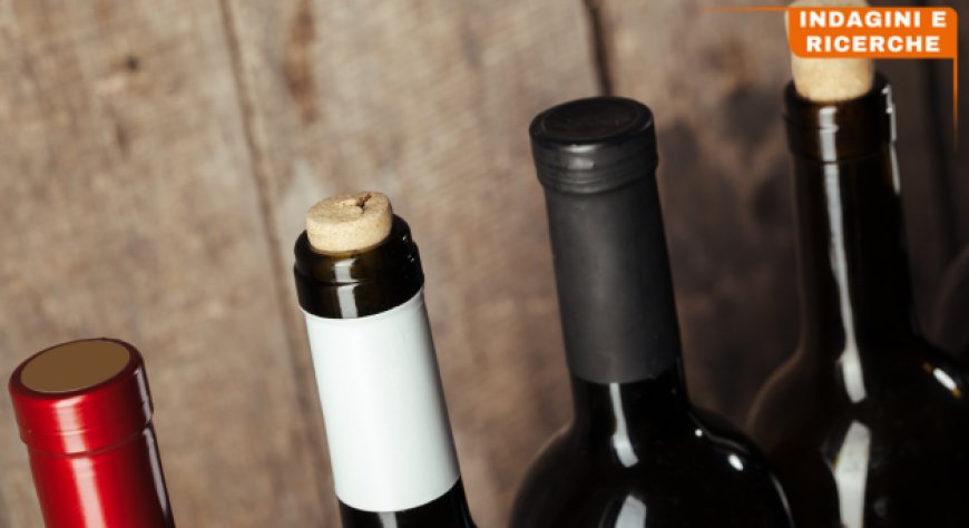 L'Italia del vino tra export record e sfide future: il rapporto Mediobanca 2025