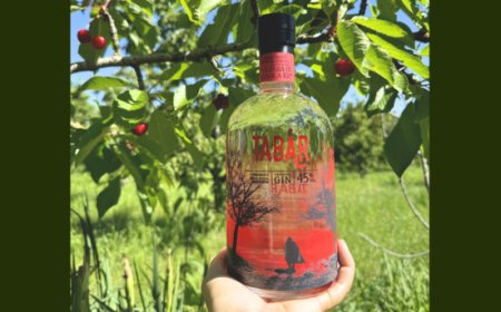 Al via la produzione 2025 del Gin Tabar Ciliegia di Vignola IGP