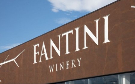 Fantini acquisisce la cantina ex Venta la Vega in Spagna