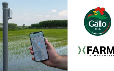 Riso Gallo e xFarm Technologies: bilancio positivo dopo un anno di digitalizzazione in risaia