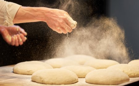 Industria molitoria: nel 2024 andamento positivo dei volumi produttivi ma contrazione del fatturato