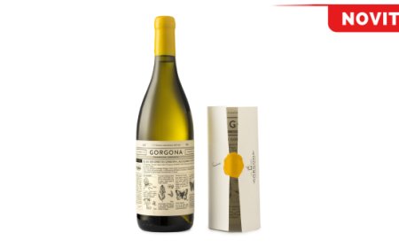 L’annata 2024 del vino Gorgona alla tredicesima vendemmia