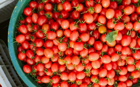 Conserve Italia cerca 110 lavoratori stagionali