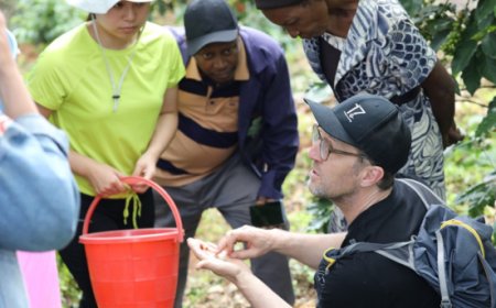 Il caffè specialty che cambia le comunità: l'iniziativa sociale di 17g Coffee
