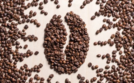 ''L'Oro Verde'': torna a Nola la terza edizione del convegno dedicato al caffè crudo