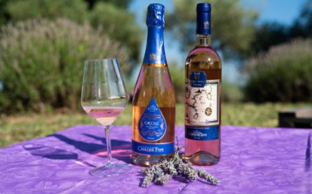 Atelier della Lavanda 2025 in Irpinia: quattro appuntamenti estivi alla Tenuta Cavalier Pepe