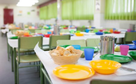 Milano Ristorazione chiude il bilancio 2024 in positivo: educazione alimentare e sostenibilità nelle scuole