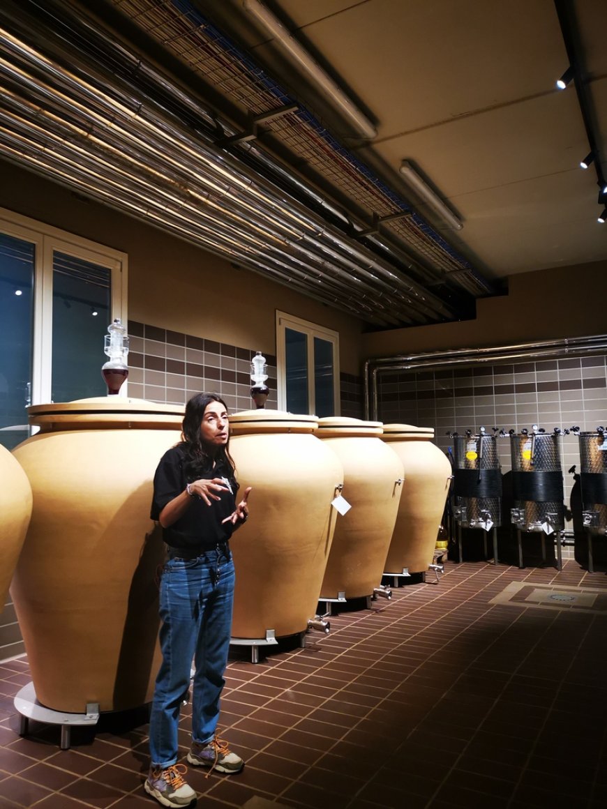 Un giorno a Ripa della Volta