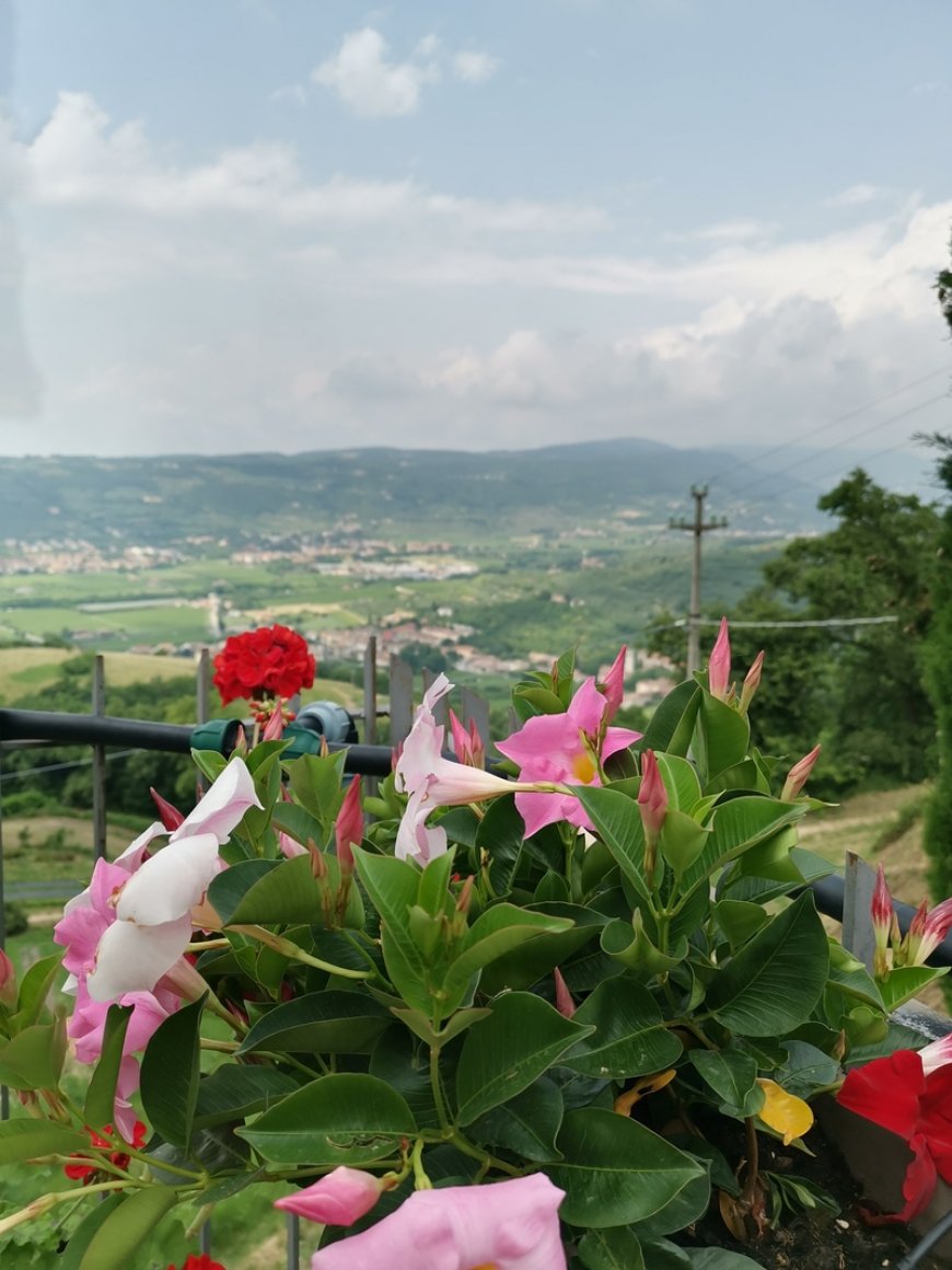 Un giorno a Ripa della Volta