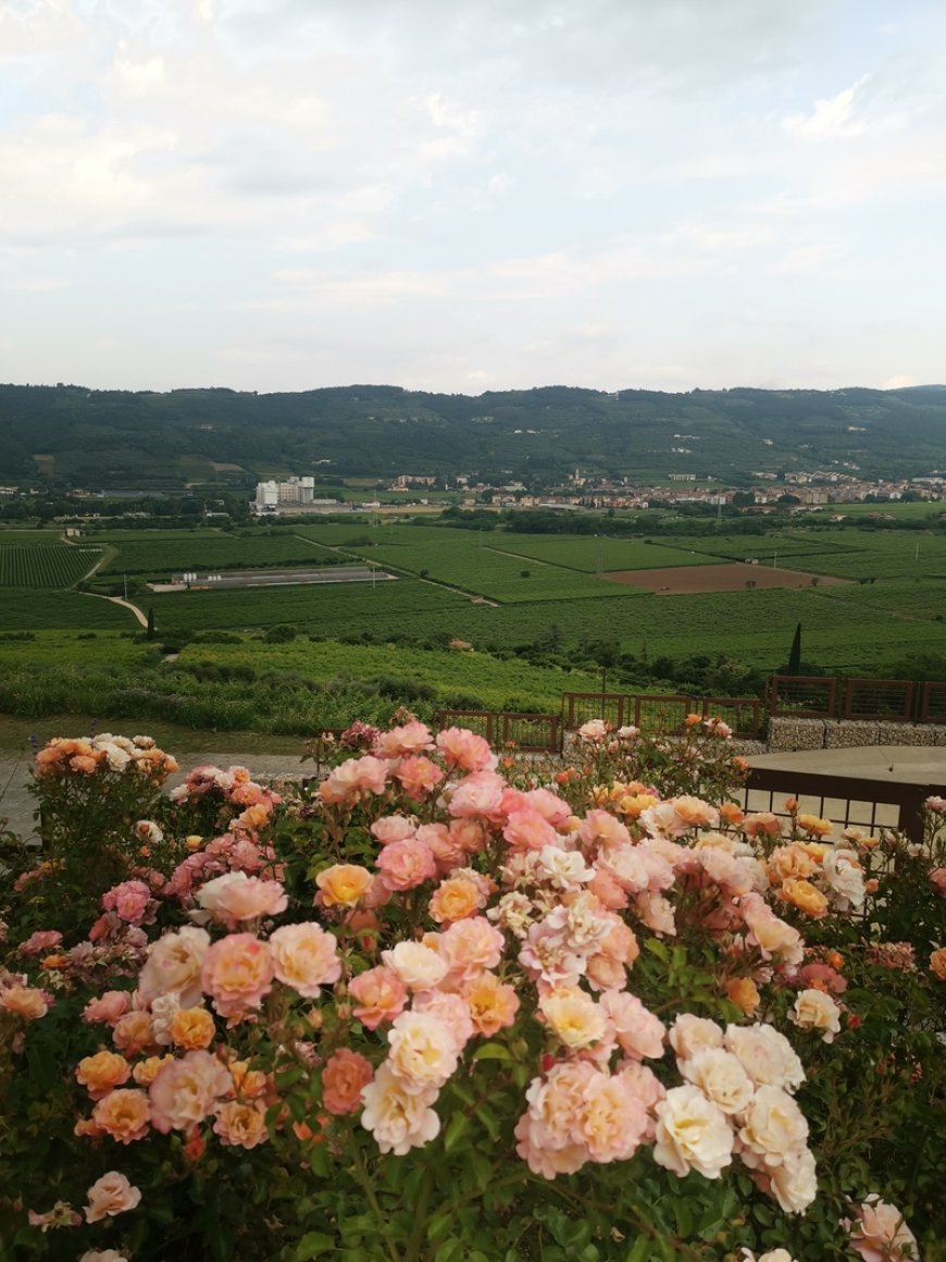 Un giorno a Ripa della Volta