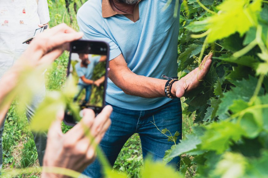 Un giorno a Ripa della Volta