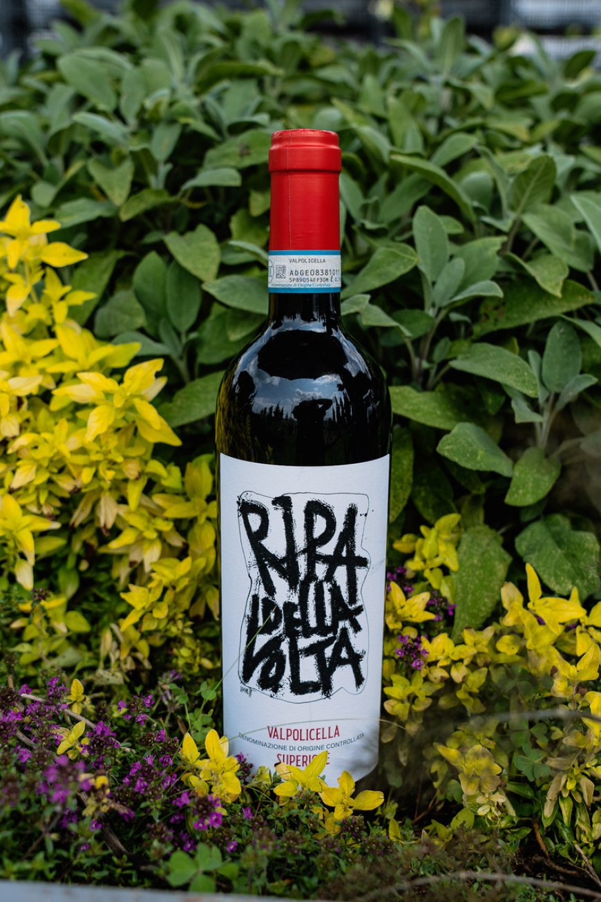 Un giorno a Ripa della Volta