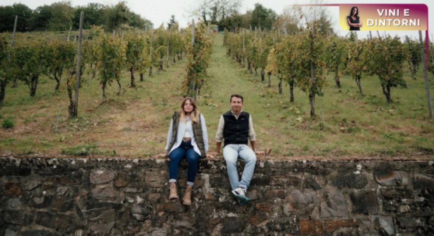 Nuova vita al Riesling con il Progetto Mosella di Nicola Biasi