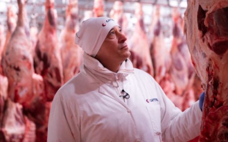 Cattel punta sulla carne: settore in espansione per varietà e qualità