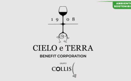 Cielo e Terra e la filiera sostenibile: verso un vino sempre più green