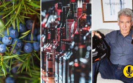 Global mixology: l’Oms rilancia il Proibizionismo, il clima cambia il gin, Harrison Ford porta il whisky in F1