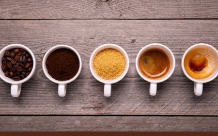 Caffè a rischio: l'EUDR scatta il 30 dicembre e cambia tutto