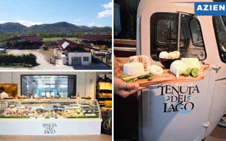 Caiazzo, nasce Tenuta del Lago: filiera chiusa per la mozzarella di bufala DOP