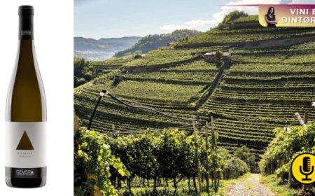 Quando un vitigno racconta il territorio: Cembra Cantina di Montagna e il Riesling Trentino DOC 2023