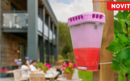 Rentokil: nuove soluzioni per proteggere bar e ristoranti da insetti volanti