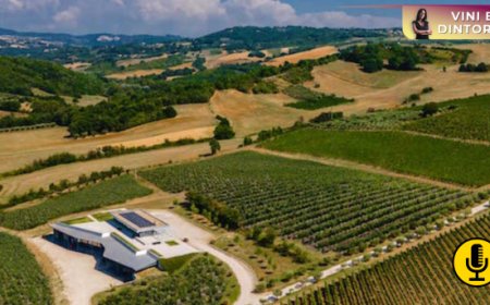 Fonzone: il racconto di una famiglia che ha messo radici tra le vigne dell’Irpinia