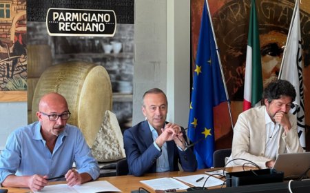 Parmigiano Reggiano di Montagna: oltre 884.000 forme prodotte nel 2024