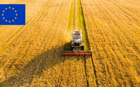 La nuova politica agricola Europea e i rischi di un Fondo Unico