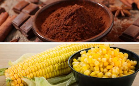 Novità dai principali mercati. Le pillole di Areté su Cacao e Mais