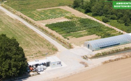 Agrifuture, il laboratorio green di MartinoRossi dove nascono le innovazioni dell'agricoltura sostenibile