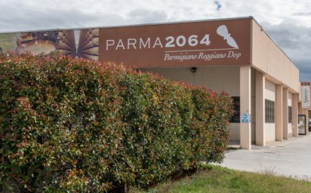 Visita guidata al Caseificio Parma2064 di Fidenza: alla scoperta del Parmigiano Reggiano