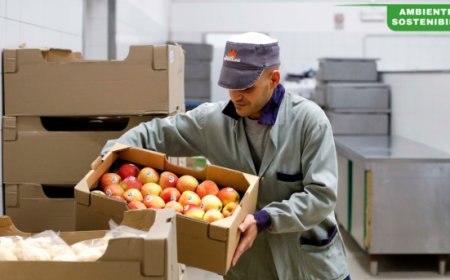 Milano Ristorazione presenta la Rendicontazione di Sostenibilità 2024