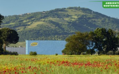 Gruppo Colussi presenta il Bilancio di Sostenibilità 2024