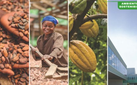 Bilancio di Sostenibilità ICAM: crescita etica e filiera responsabile