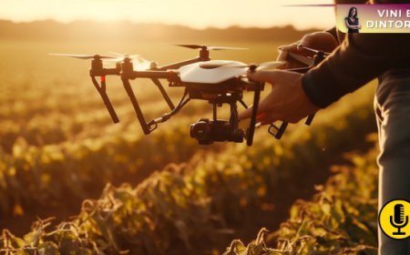 Dall’analisi fogliare ai sensori intelligenti: la rivoluzione digitale nella nutrizione del vigneto