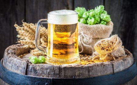 Giornata Internazionale della Birra: Carlsberg svela i trend del settore in Italia