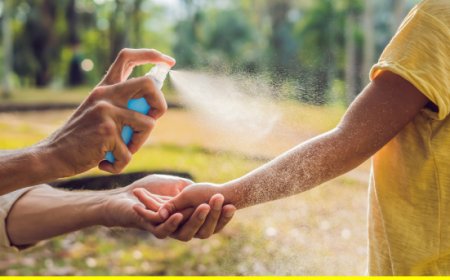 Zanzare e disinfestazioni: Rentokil smentisce i falsi miti